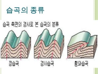습곡의 종류
 