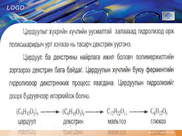 нүүрс ус | PPT