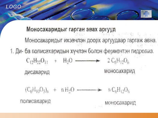нүүрс ус | PPT