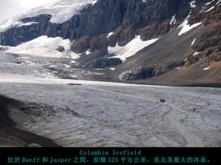 Columbia Icefield
位於 Banff 和 Jasper 之間，面積 325 平方公里，是北美最大的冰原。
 