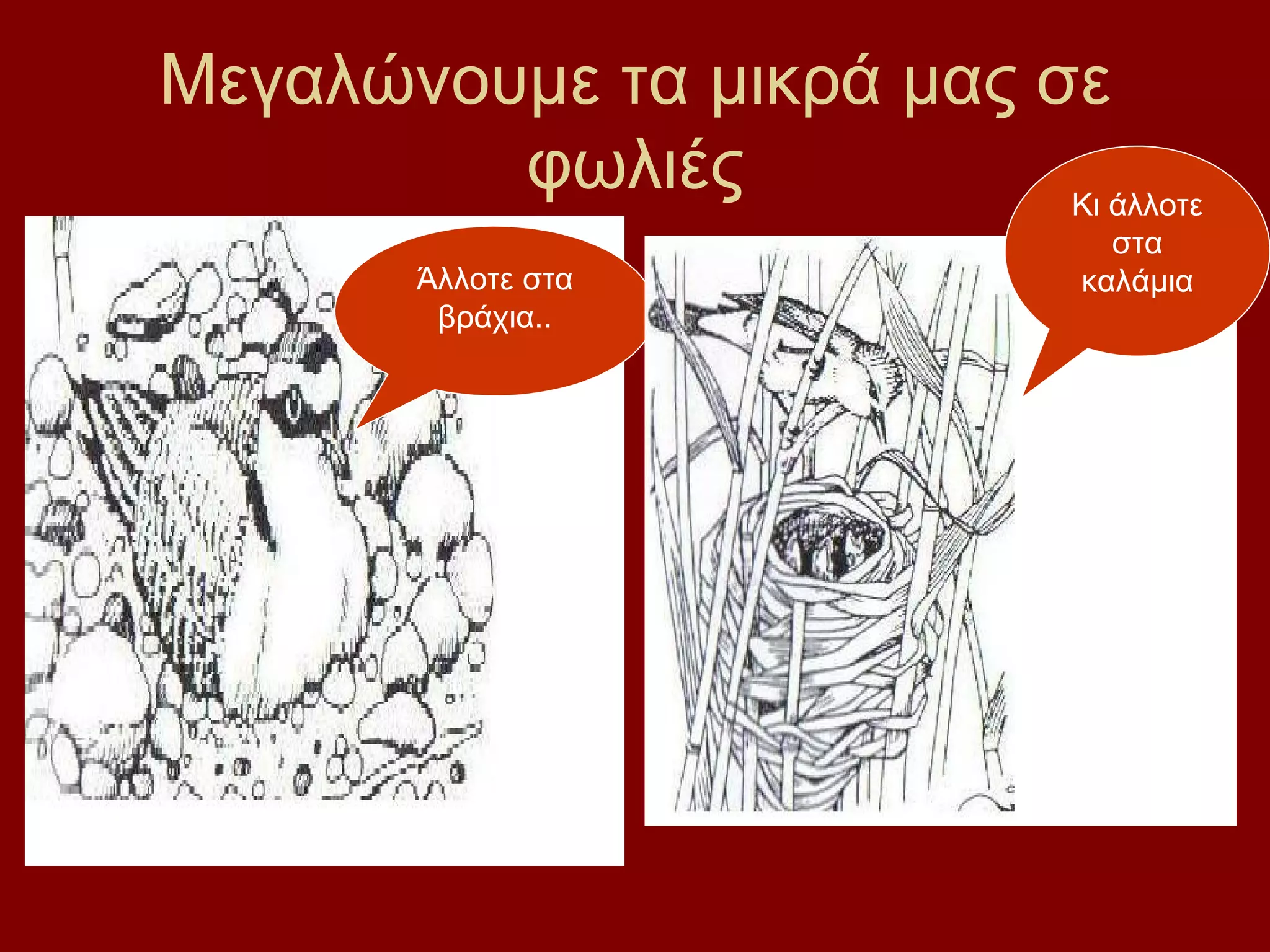 Μεγαλώνουμε τα μικρά μας σε
         φωλιές           Κι άλλοτε
                                στα
        Άλλοτε στα            καλάμια
         βράχια..
 