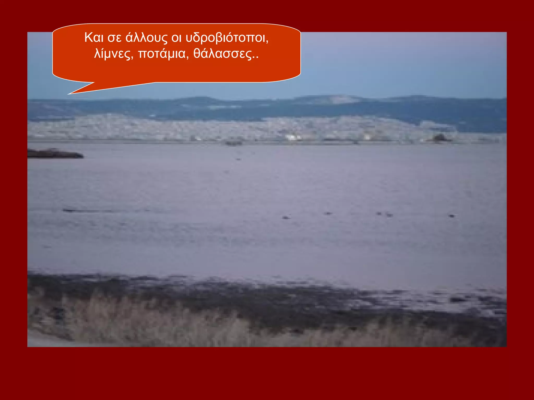 Και σε άλλους οι υδροβιότοποι,
 λίμνες, ποτάμια, θάλασσες..
 