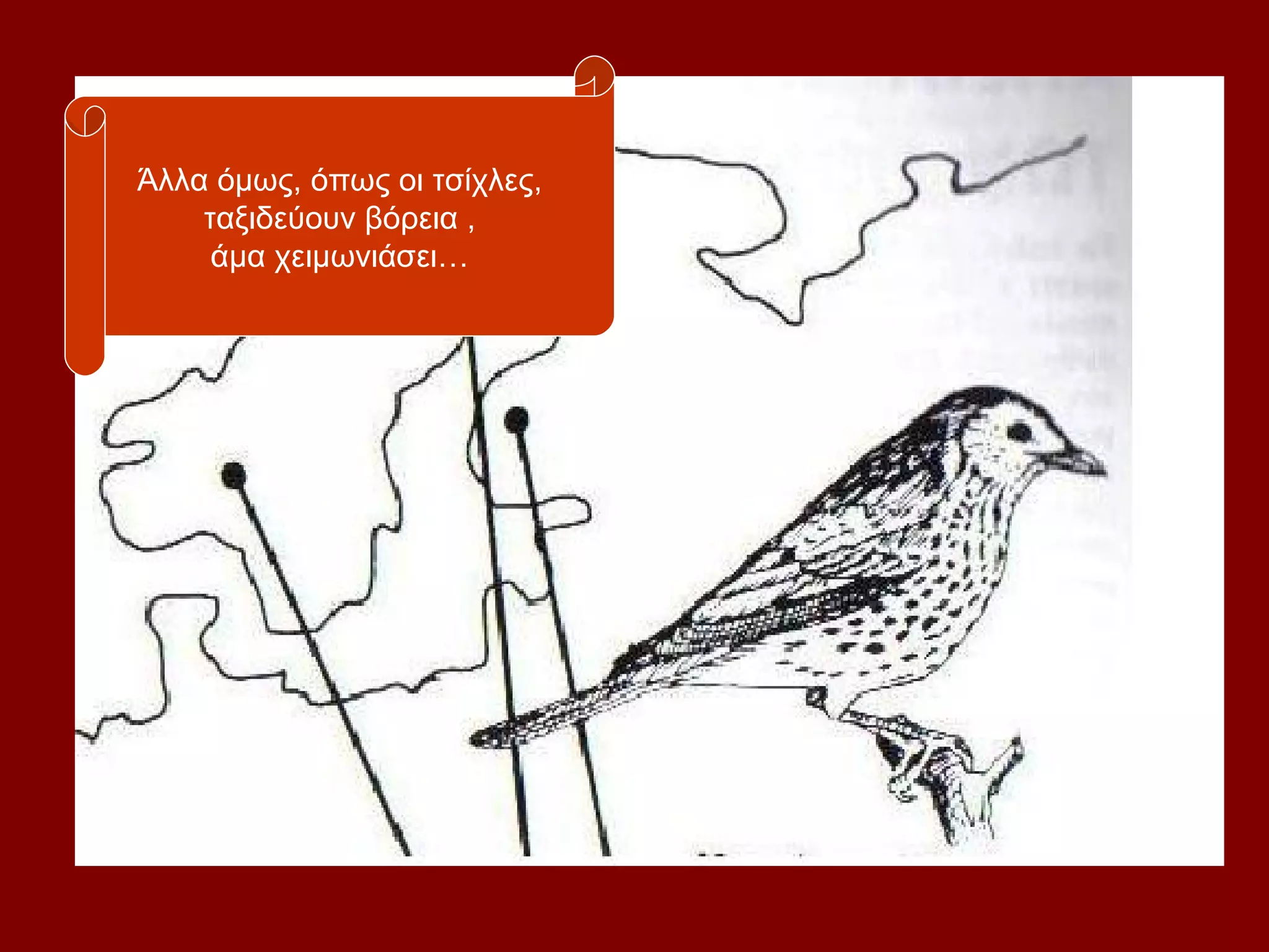 Άλλα όμως, όπως οι τσίχλες,
    ταξιδεύουν βόρεια ,
     άμα χειμωνιάσει…
 