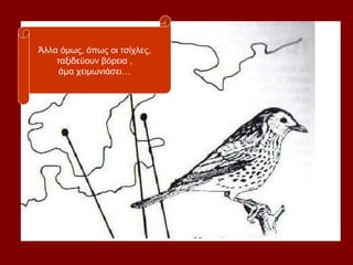 Άλλα όμως, όπως οι τσίχλες,
    ταξιδεύουν βόρεια ,
     άμα χειμωνιάσει…
 