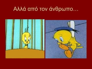 Αλλά από τον άνθρωπο…
 