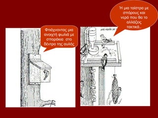 Ή μια ταίστρα με
                    σπόρους και
                   νερό που θα το
                       αλλάζεις
                       τακτικά..
Φτιάχνοντας μια
ανοιχτή φωλιά με
 σποράκια στο
δέντρο της αυλής
      σου..
 