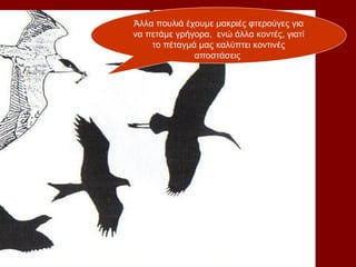 Άλλα πουλιά έχουμε μακριές φτερούγες για
να πετάμε γρήγορα, ενώ άλλα κοντές, γιατί
    το πέταγμά μας καλύπτει κοντινές
              αποστάσεις
 