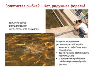 Золотистая рыбка? – Нет, радужная форель!


 Берите с собой
 фотоаппарат!
 Здесь есть, что снимать!



                            Во время экскурсии по
                            форелевому хозяйству Вы :
                            • узнаете о подводном мире
                               горной реки,
                            • будете иметь возможность
                               поудить рыбу,
                            • а потом Вам предложат
                               обед из королевской рыбы -
                               форели.
 