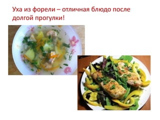 Уха из форели – отличная блюдо после
долгой прогулки!
 