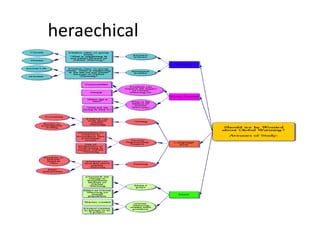 heraechical
 
