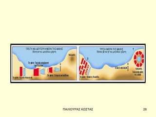 ΠΑΛΙΟΥΡΑΣ ΚΩΣΤΑΣ   28
 