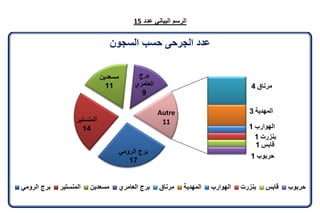 تقرير اللجنة الوطنية لاستقصاء الحقائق حول التجاوزات و الانتهاكات -افريل 2012 