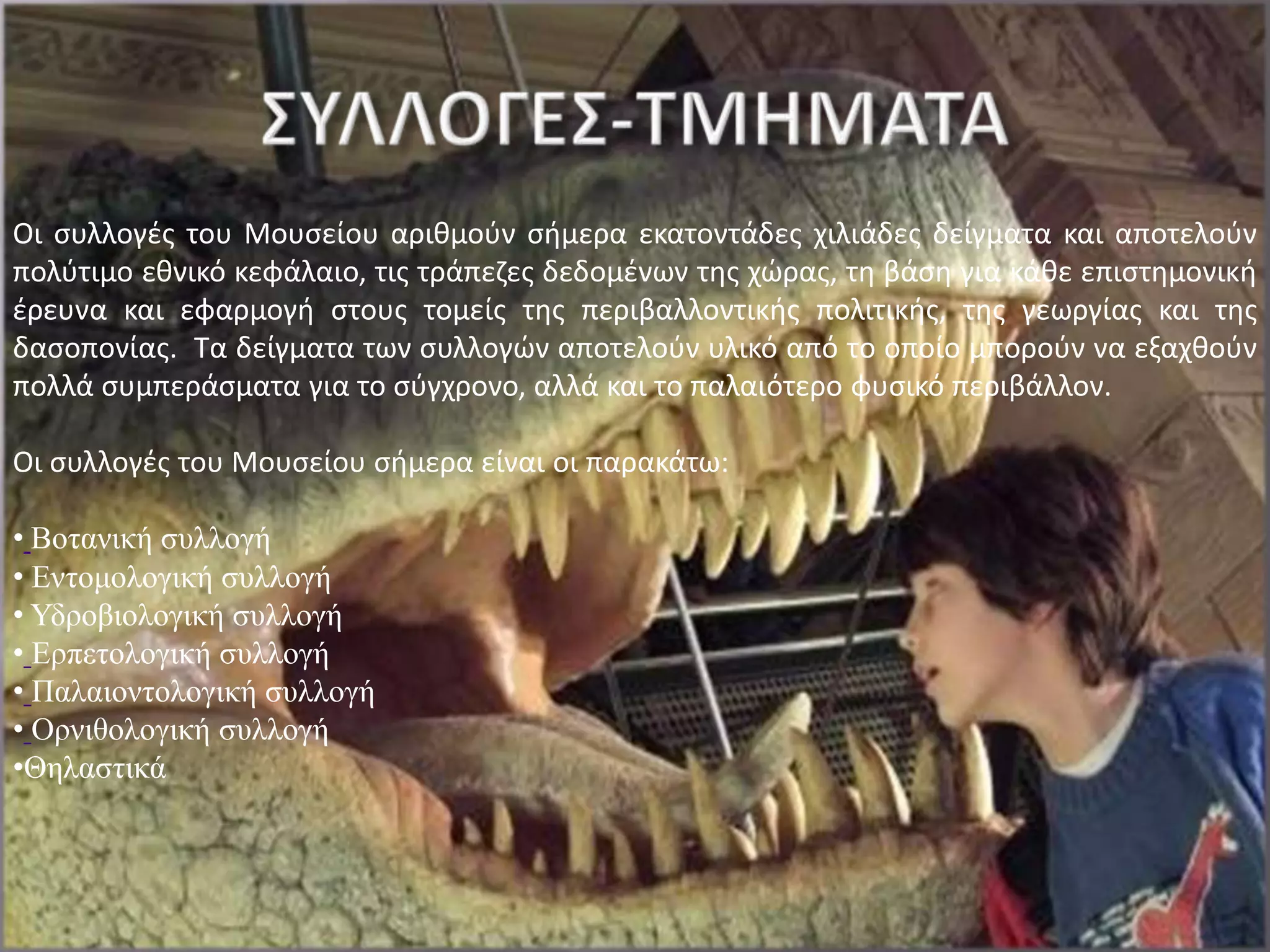 Οι ςυλλογζσ του Μουςείου αρικμοφν ςιμερα εκατοντάδεσ χιλιάδεσ δείγματα και αποτελοφν
πολφτιμο εκνικό κεφάλαιο, τισ τράπεηεσ δεδομζνων τθσ χώρασ, τθ βάςθ για κάκε επιςτθμονικι
ζρευνα και εφαρμογι ςτουσ τομείσ τθσ περιβαλλοντικισ πολιτικισ, τθσ γεωργίασ και τθσ
δαςοπονίασ. Τα δείγματα των ςυλλογών αποτελοφν υλικό από το οποίο μποροφν να εξαχκοφν
πολλά ςυμπεράςματα για το ςφγχρονο, αλλά και το παλαιότερο φυςικό περιβάλλον.

Οι ςυλλογζσ του Μουςείου ςιμερα είναι οι παρακάτω:

• Βοηανική ζυλλογή
• Ενηομολογική ζυλλογή
• Υδροβιολογική ζυλλογή
• Ερπεηολογική ζυλλογή
• Παλαιονηολογική ζυλλογή
• Ορνιθολογική ζυλλογή
•Θηλαζηικά
 