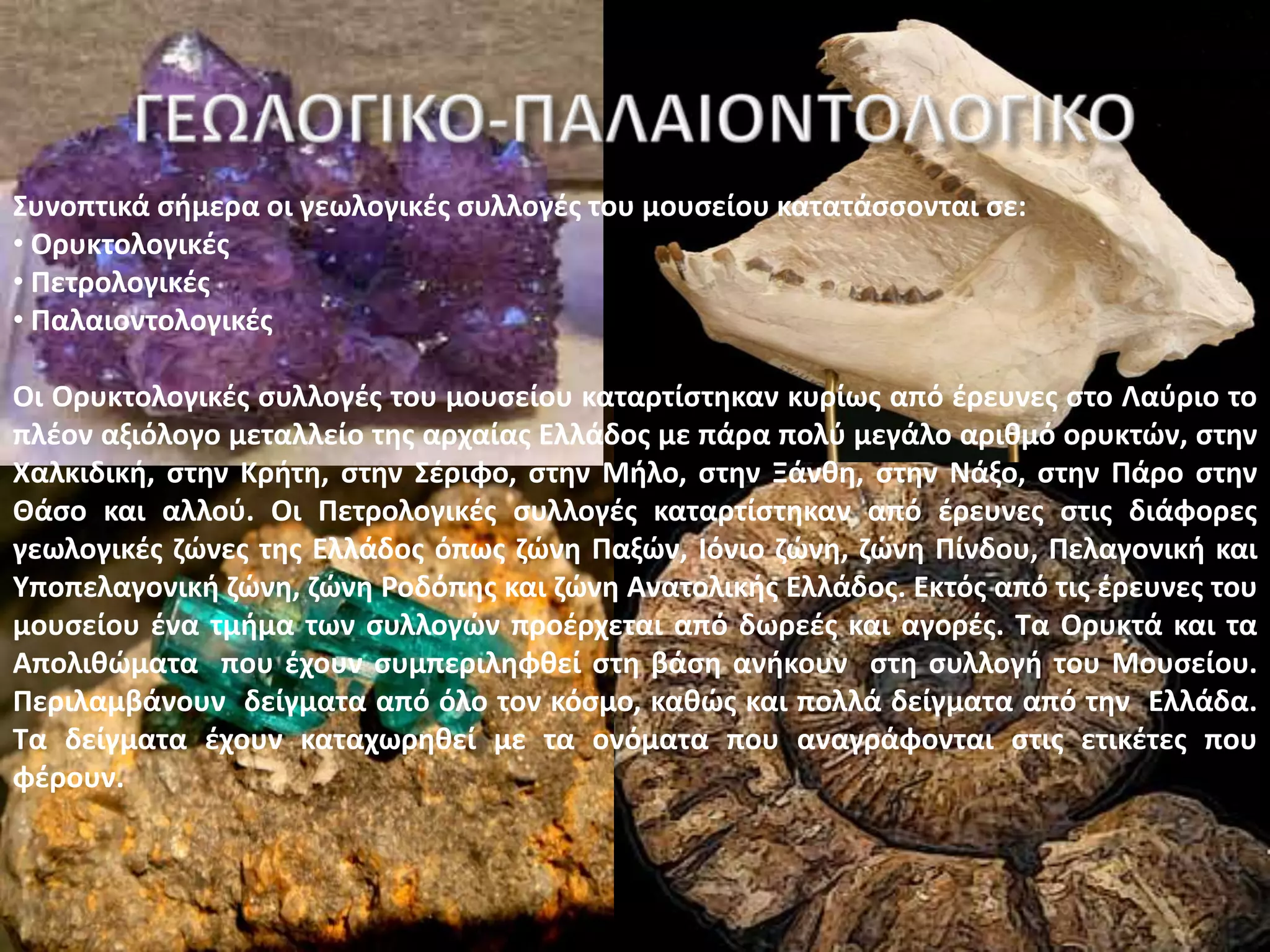 ΢υνοπτικά ςιμερα οι γεωλογικζσ ςυλλογζσ του μουςείου κατατάςςονται ςε:
• Ορυκτολογικζσ
• Πετρολογικζσ
• Παλαιοντολογικζσ

Οι Ορυκτολογικζσ ςυλλογζσ του μουςείου καταρτίςτθκαν κυρίωσ από ζρευνεσ ςτο Λαφριο το
πλζον αξιόλογο μεταλλείο τθσ αρχαίασ Ελλάδοσ με πάρα πολφ μεγάλο αρικμό ορυκτϊν, ςτθν
Χαλκιδικι, ςτθν Κριτθ, ςτθν ΢ζριφο, ςτθν Μιλο, ςτθν Ξάνκθ, ςτθν Νάξο, ςτθν Πάρο ςτθν
Θάςο και αλλοφ. Οι Πετρολογικζσ ςυλλογζσ καταρτίςτθκαν από ζρευνεσ ςτισ διάφορεσ
γεωλογικζσ ηϊνεσ τθσ Ελλάδοσ όπωσ ηϊνθ Παξϊν, Ιόνιο ηϊνθ, ηϊνθ Πίνδου, Πελαγονικι και
Τποπελαγονικι ηϊνθ, ηϊνθ Ροδόπθσ και ηϊνθ Ανατολικισ Ελλάδοσ. Εκτόσ από τισ ζρευνεσ του
μουςείου ζνα τμιμα των ςυλλογϊν προζρχεται από δωρεζσ και αγορζσ. Σα Ορυκτά και τα
Απολικϊματα που ζχουν ςυμπεριλθφκεί ςτθ βάςθ ανικουν ςτθ ςυλλογι του Μουςείου.
Περιλαμβάνουν δείγματα από όλο τον κόςμο, κακϊσ και πολλά δείγματα από τθν Ελλάδα.
Σα δείγματα ζχουν καταχωρθκεί με τα ονόματα που αναγράφονται ςτισ ετικζτεσ που
φζρουν.
 
