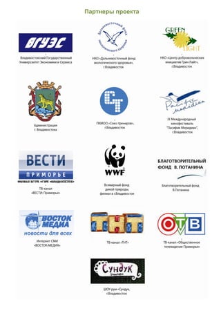 отчёт о реализации проекта зелёный пакет