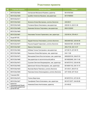 отчёт о реализации проекта зелёный пакет
