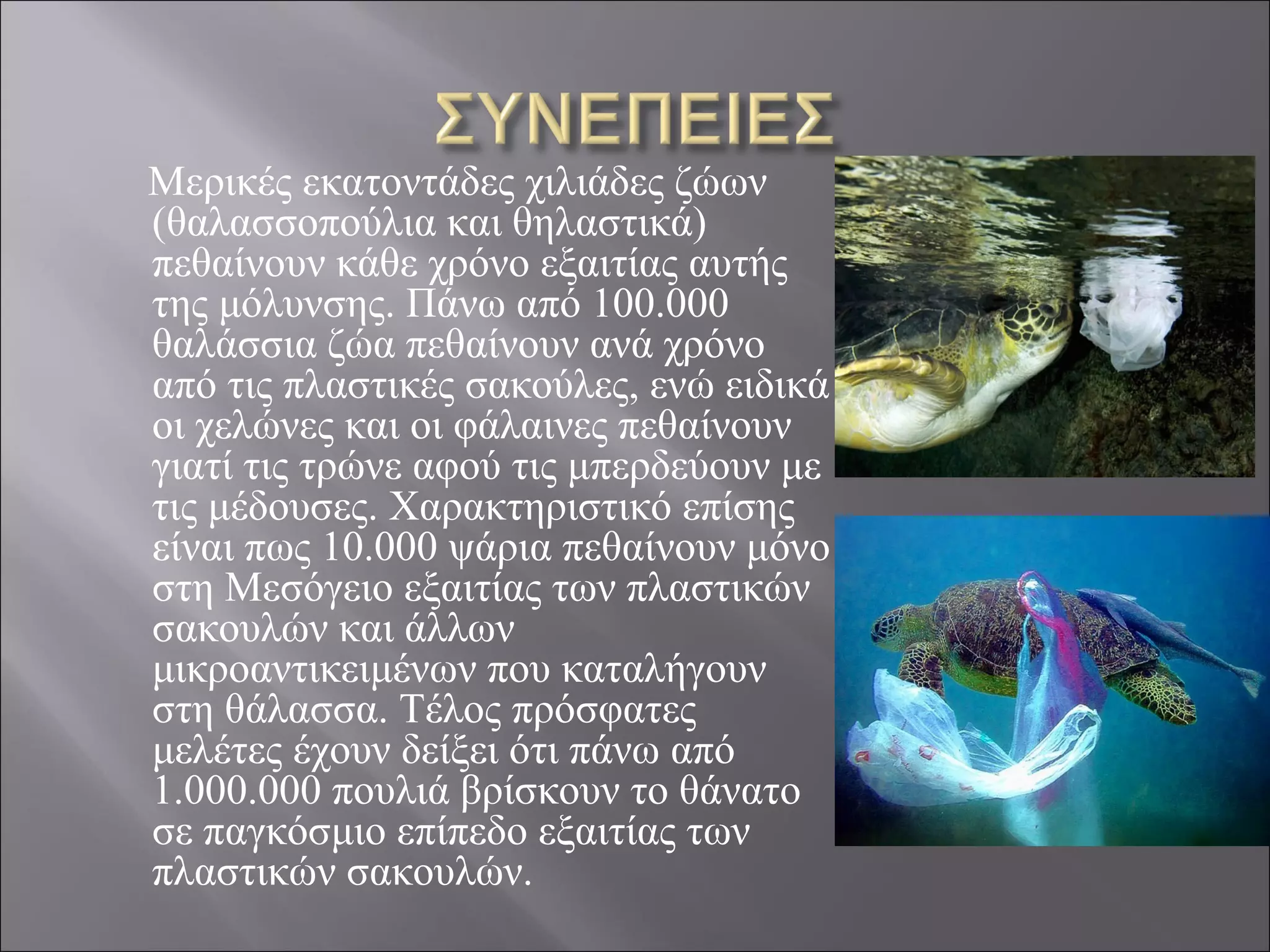 Μερικές εκατοντάδες χιλιάδες ζώων
(θαλασσοπούλια και θηλαστικά)
πεθαίνουν κάθε χρόνο εξαιτίας αυτής
της μόλυνσης. Πάνω από 100.000
θαλάσσια ζώα πεθαίνουν ανά χρόνο
από τις πλαστικές σακούλες, ενώ ειδικά
οι χελώνες και οι φάλαινες πεθαίνουν
γιατί τις τρώνε αφού τις μπερδεύουν με
τις μέδουσες. Χαρακτηριστικό επίσης
είναι πως 10.000 ψάρια πεθαίνουν μόνο
στη Μεσόγειο εξαιτίας των πλαστικών
σακουλών και άλλων
μικροαντικειμένων που καταλήγουν
στη θάλασσα. Τέλος πρόσφατες
μελέτες έχουν δείξει ότι πάνω από
1.000.000 πουλιά βρίσκουν το θάνατο
σε παγκόσμιο επίπεδο εξαιτίας των
πλαστικών σακουλών.
 