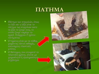ΠΑΤΗΜΑ
   Πάτημα των σταφυλιών, όπως
    το λέει και η λέξη είναι το
    πάτημα των σταφυλιών ώστε
    να βγει το ζουμί τους, το
    οποίο ζουμί παράγει το
    κρασί. Υπάρχουν 2 τρόποι
    πατήματος:
   Ο πρώτος είναι με τα πόδια,
    φορώντας πάντα καθαρές,
    καινούργιες πλαστικές
    μπότες.
   Ο δεύτερος, που επικρατεί τα
    τελευταία χρόνια, γίνεται με
    χειροκίνητο ή ηλεκτροκίνητο
    μηχάνημα. 
 