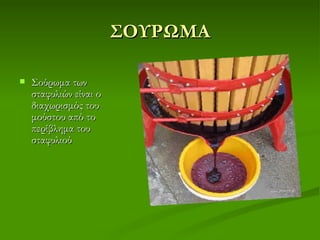 ΣΟΥΡΩΜΑ

   Σούρωμα των
    σταφυλιών είναι ο
    διαχωρισμός του
    μούστου από το
    περίβλημα του
    σταφυλιού
 