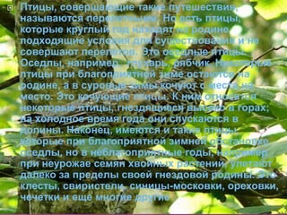    Птицы, совершающие такие путешествия,
    называются перелетными. Но есть птицы,
    которые круглый год находят на родине
    подходящие условия для существования и не
    совершают перелетов. Это оседлые птицы.
    Оседлы, например, глухарь, рябчик. Некоторые
    птицы при благоприятной зиме остаются на
    родине, а в суровые зимы кочуют с места на
    место. Это кочующие птицы. К ним относятся
    некоторые птицы, гнездящиеся высоко в горах;
    на холодное время года они спускаются в
    долины. Наконец, имеются и такие птицы,
    которые при благоприятной зимней обстановке
    оседлы, но в неблагоприятные годы, например
    при неурожае семян хвойных растений, улетают
    далеко за пределы своей гнездовой родины. Это
    клесты, свиристели, синицы-московки, ореховки,
    чечетки и еще многие другие
 