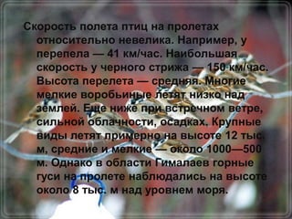 Скорость полета птиц на пролетах
  относительно невелика. Например, у
  перепела — 41 км/час. Наибольшая
  скорость у черного стрижа — 150 км/час.
  Высота перелета — средняя. Многие
  мелкие воробьиные летят низко над
  землей. Еще ниже при встречном ветре,
  сильной облачности, осадках. Крупные
  виды летят примерно на высоте 12 тыс.
  м, средние и мелкие — около 1000—500
  м. Однако в области Гималаев горные
  гуси на пролете наблюдались на высоте
  около 8 тыс. м над уровнем моря.
 