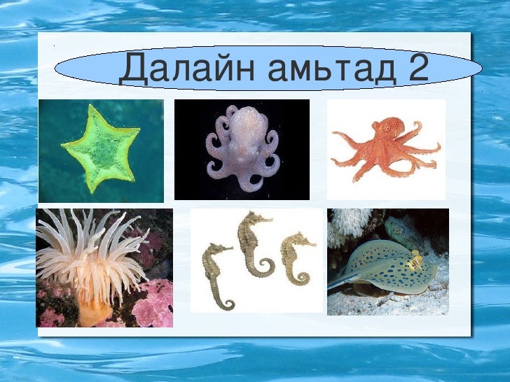 хүн орчин