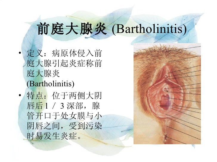 女性健康知识讲座
