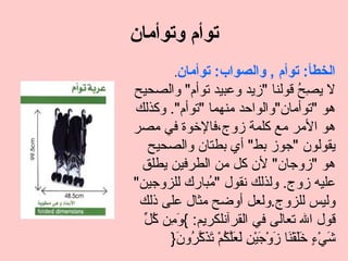 ‫توأم وتوأمان‬
         ‫الخطأ: توأم , والصواب: توأمان‬
          ‫.‬

‫ل ي ِ ُ قولنا "زيد وعبيد توأم" والصحيح‬     ‫صح‬
‫هو "توأمان"والواحد منهما "توأم". وكذلك‬
‫هو المر مع كلمة زوج،فالخوة في مصر‬
   ‫يقولون "جوز بط" أي بطتان والصحيح‬
 ‫هو "زوجان" لن كل من الطرفين يطلق‬
‫عليه زوج. ولذلك نقول " ُبارك للزوجين"‬
                ‫م‬
 ‫وليس للزوج.ولعل أوضح مثال على ذلك‬
  ‫وم كل‬
  ‫قول ال تعالى في القرآنلكريم: { َ ِن ُ ّ‬
       ‫َيْ ٍ ََقْ َا َوْ َيْن َ َّ ُمْ َ َ ّ ُو َ}‬
         ‫ش ء خل ن ز ج ِ لعلك تذكر ن‬
 