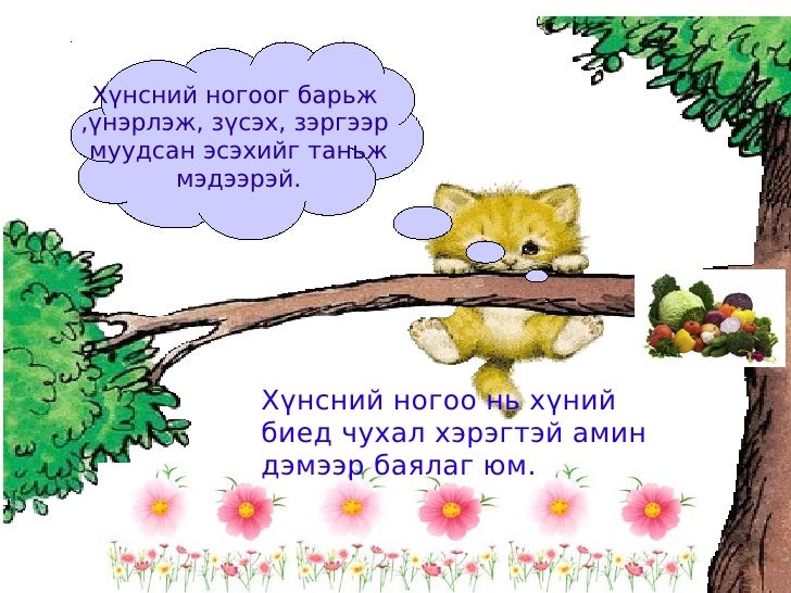 хүнсний ногоо