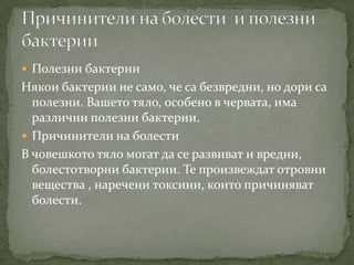бактериите | PPT