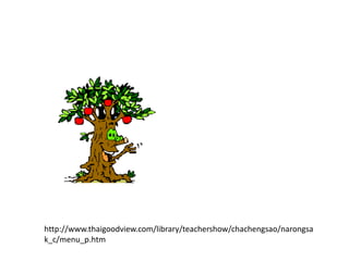 http://www.thaigoodview.com/library/teachershow/chachengsao/narongsa
k_c/menu_p.htm
 