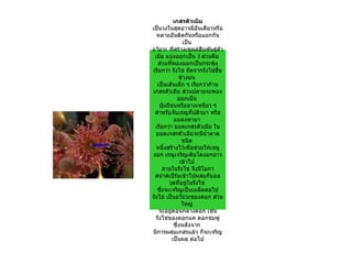 เกสรตัวเมีย
เป็นวงในสุดอาจมีอันเดียวหรือ
   หลายอันติดกันหรือแยกกัน
                  เป็น
อวัยวะ ที่สร้างเซลล์สืบพันธุตัว
                              ์
 เมีย แบ่งออกเป็น 3 ส่วนคือ
   ส่วนที่พองออกเป็นกระพุ้ง
เรียกว่า รังไข่ ถัดจากรังไข่ขน  ึ้
                ข้างบน
   เป็นเส้นเล็ก ๆ เรียกว่าก้าน
เกสรตัวเมีย ส่วนปลายจะพอง
                ออกเป็น
    ปุ่มมีขนหรือยางเหนียว ๆ
  สำาหรับจับเรณูที่ปลิวมา หรือ
             แมลงพามา
  เรียกว่า ยอดเกสรตัวเมีย ใน
  ยอดเกสรตัวเมียจะมีนำ้าตาล
                  ชนิด
  หนึ่งสร้างไว้เพื่อช่วยให้เรณู
งอก เรณูเจริญเติบโตงอกยาว
                 เข้าไป
       ภายในรังไข่ จึงมีโอกา
  สนำาสเปิรมเข้าไปผสมกับออ
              ์
         วุลที่อยู่ในรังไข่
   ซึงจะเจริญเป็นเมล็ดต่อไป
     ่
รังไข่ เป็นอวัยวะของดอก ส่วน
                  ใหญ่
    จะอยูตอนกลางดอก เช่น
          ่
  รังไข่ของดอกแค ดอกชมพู่
             ซึ่งหลังจาก
มีการผสมเกสรแล้ว ก็จะเจริญ
            เป็นผล ต่อไป
 