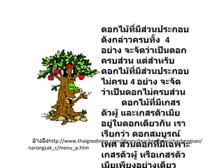 ดอกไม้ที่มส่วนประกอบ
                                             ี
                             ดังกล่าวครบทั้ง 4
                             อย่าง จะจัดว่าเป็นดอก
                             ครบส่วน แต่สำาหรับ
                             ดอกไม้ที่มส่วนประกอบ
                                               ี
                             ไม่ครบ 4 อย่าง จะจัด
                             ว่าเป็นดอกไม่ครบส่วน
                                    ดอกไม้ที่มีเกสร
                             ตัวผู้ และเกสรตัวเมีย
                             อยู่ในดอกเดียวกัน เรา
                             เรียกว่า ดอกสมบูรณ์
 อ้างอิงhttp://www.thaigoodview.com/library/teachershow/chachengsao/
narongsak_c/menu_p.htm       เพศ ส่วนดอกทีมีเฉพาะ   ่
                             เกสรตัวผู้ หรือเกสรตัว
 