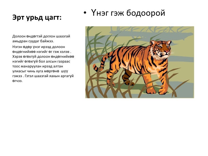 долоон өндөгтэй догoлон шаазгай