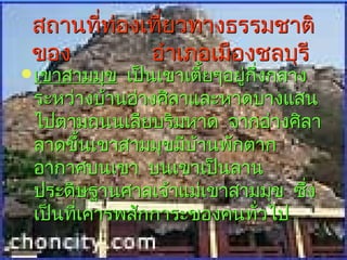 สถานที่ท่องเที่ยวทางธรรมชาติ
 ของ         อำาเภอเมืองชลบุรี
 เขาสามมุข เป็นเขาเตียๆอยู่กงกลาง
                      ้      ึ่
 ระหว่างบ้านอ่างศิลาและหาดบางแสน
 ไปตามถนนเลียบริมหาด จากอ่างศิลา
 ลาดขึ้นเขาสามมุขมีบ้านพักตาก
 อากาศบนเขา บนเขาเป็นลาน
 ประดิษฐานศาลเจ้าแม่เขาสามมุข ซึ่ง
 เป็นทีเคารพสักการะของคนทัวไป
       ่                        ่
 