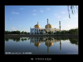 10 中华回乡文化园
             11/50
 