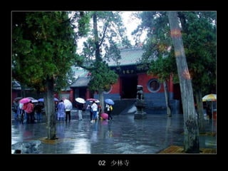 02 少林寺
         43/50
 
