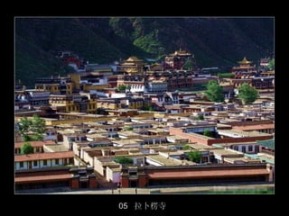 05 拉卜楞寺
          46/50
 