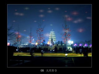 08 大兴善寺
          49/50
 