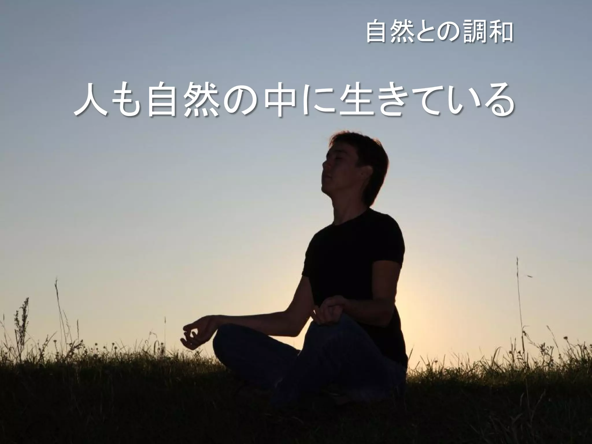 自然との調和

人も自然の中に生きている
 