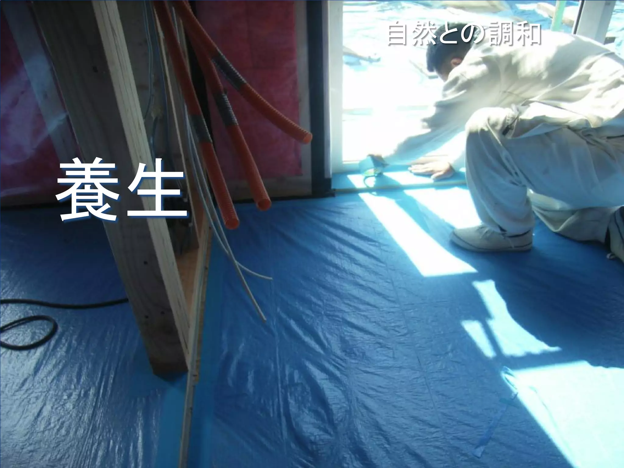 自然との調和




養生
 