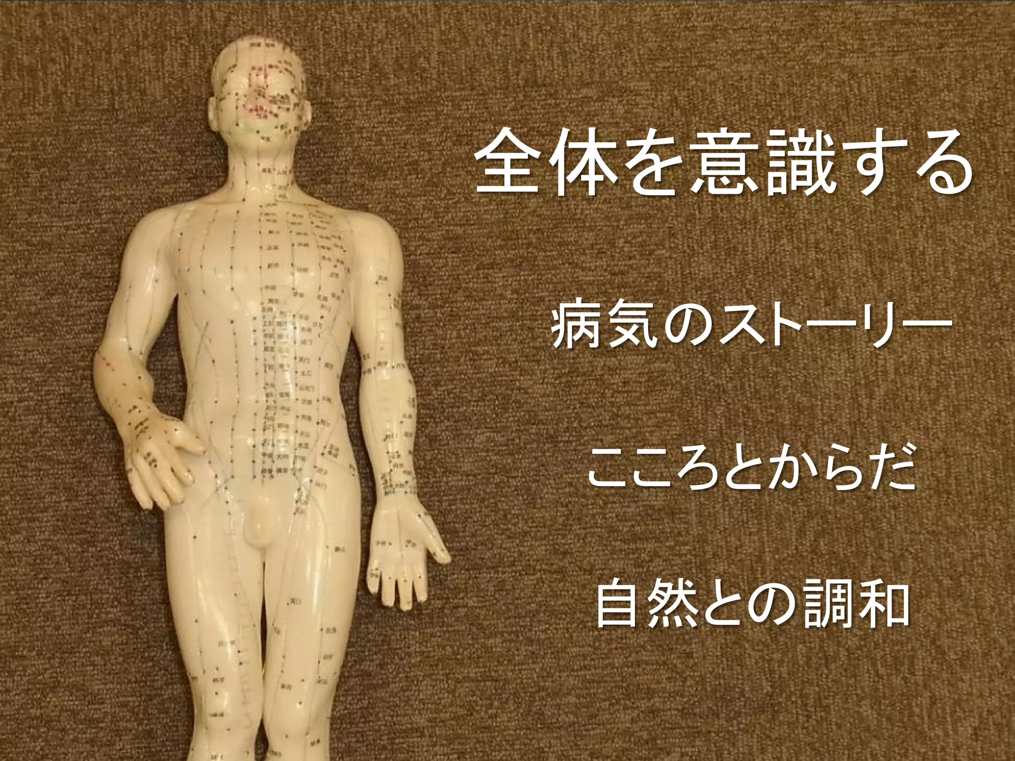 東洋医学 全体を意識する

     病気のストーリー

      こころとからだ

      自然との調和
 
