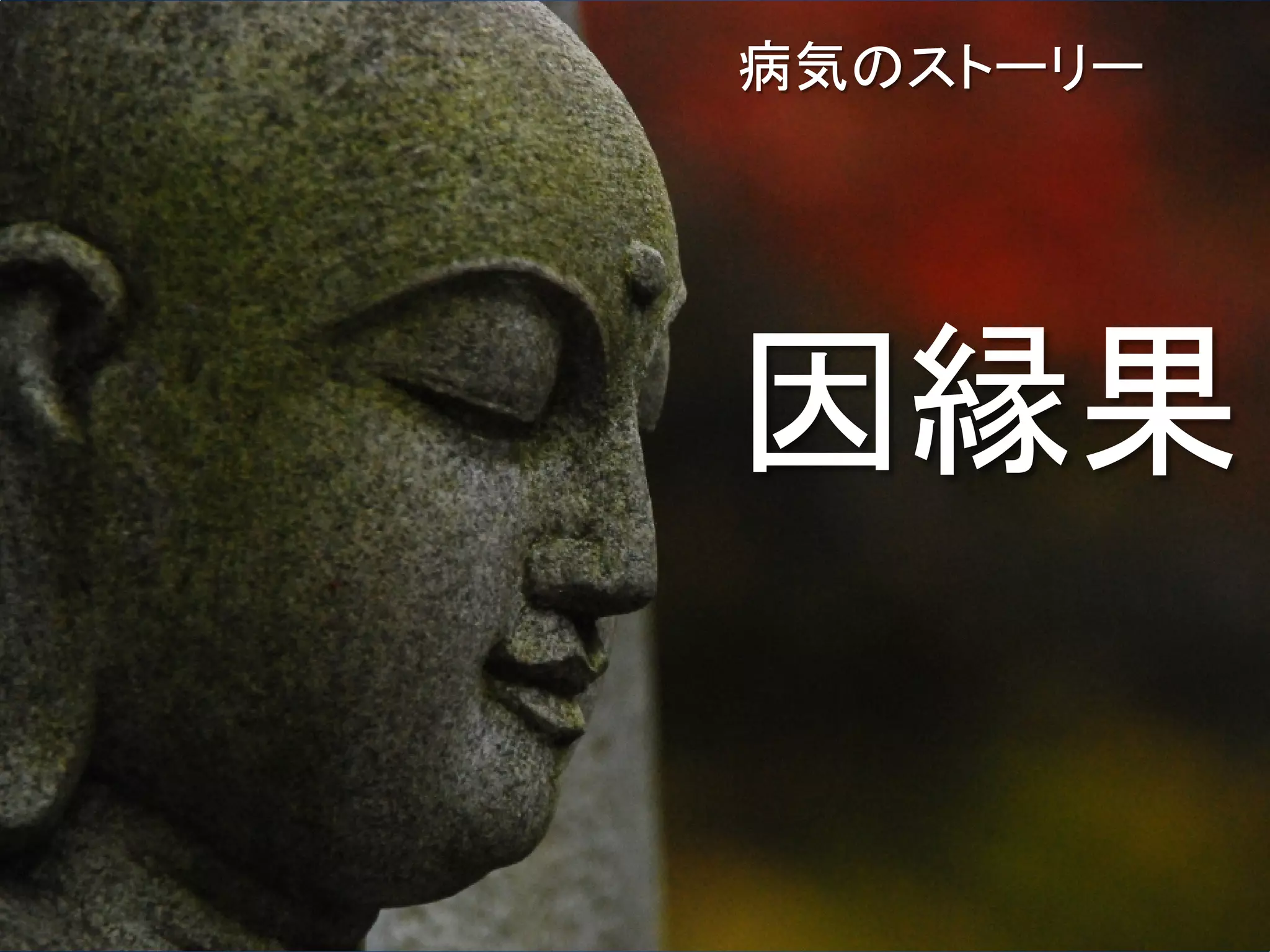 病気のストーリー




因縁果
 