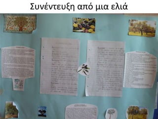 Συνζντευξη από μια ελιά
 