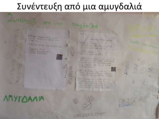 Συνζντευξη από μια αμυγδαλιά
 