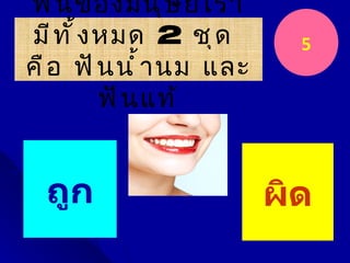 ฟั น ของมนุ ษ ย์ เ รา
มี ท ั ้ ง หมด 2 ชุ ด       5
คื อ ฟั น นำ ้ า นม และ
           ฟั น แท้


  ถูก                     ผิด
 