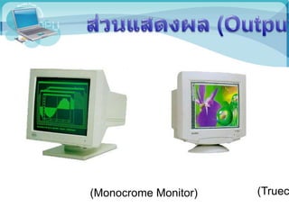 (Monocrome Monitor) (Truec