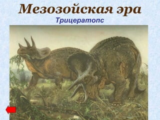 Мезозойская эра
    Трицератопс
 