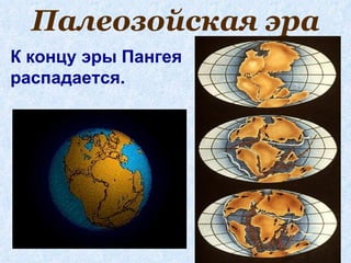 Палеозойская эра
К концу эры Пангея
распадается.
 