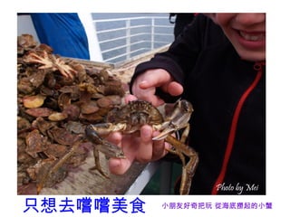 只想去嚐嚐美食   小朋友好奇把玩 從海底撈起的小蟹
 